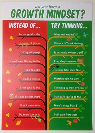 Do you have a growth mindset?